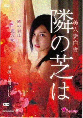 夜空中最亮的星电影海报